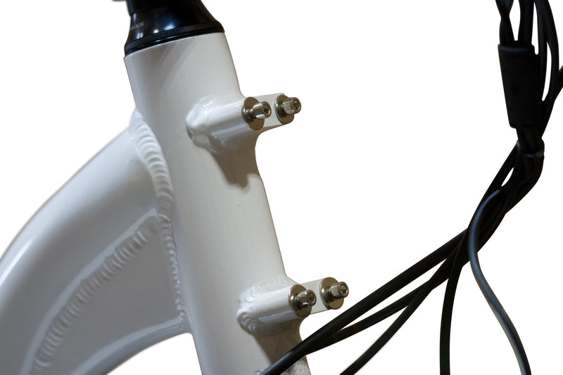 EWheels - EW-STEP THRU Low-Step Frame Electric Bike