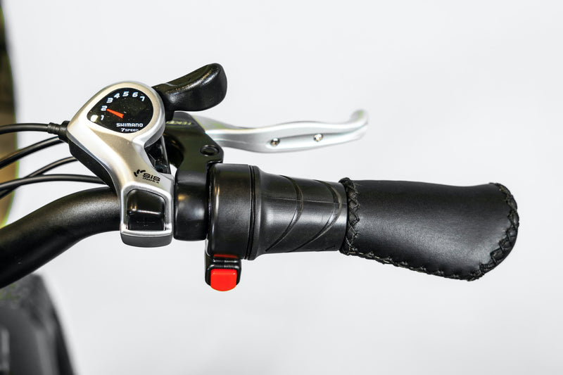EWheels - EW-Supreme EBikes