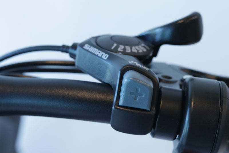 EWheels - EW-Rugged Electric Mountain Bike