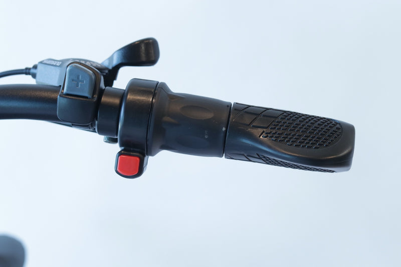 EWheels - EW-Rugged Electric Mountain Bike