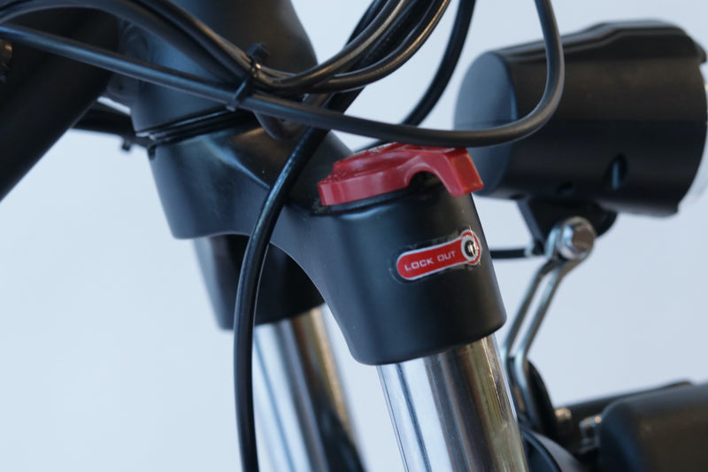 EWheels - EW-Rugged Electric Mountain Bike