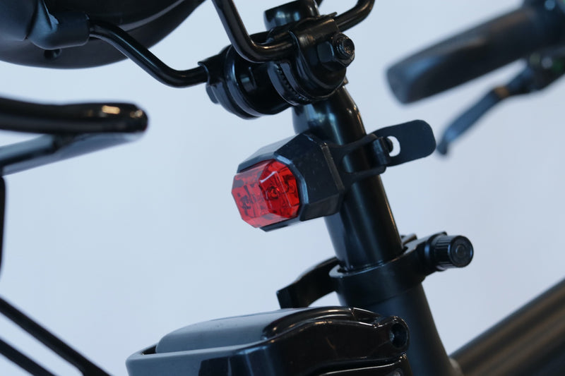 EWheels - EW-Rugged Electric Mountain Bike